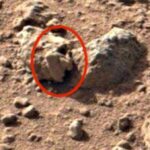 Publik Heboh! Penampakan Alien