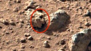 Publik Heboh! Penampakan Alien