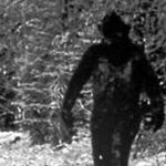 Makhluk Bigfoot