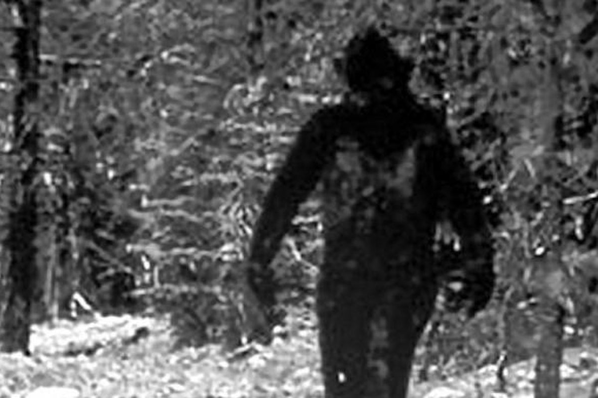 Makhluk Bigfoot