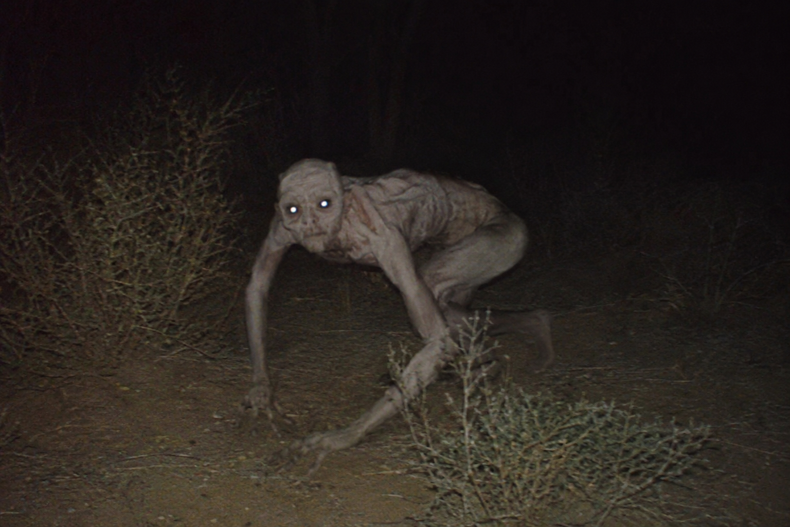 Makhluk Skinwalker